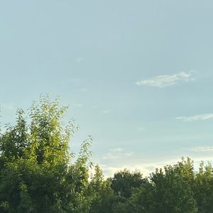 Meet your Posher, Sienna